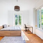 Grande Suite, Maison De Maitre, Parking Prive - Hyper Centre * Mulhouse