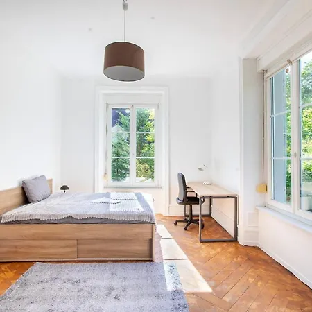 Spacieux , Maison De Maitre, Parking Gratuit, Centre * Мюлуз