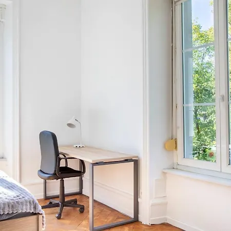 Grande Suite, Maison De Maitre, Parking Prive - Hyper Centre * 뮐루즈