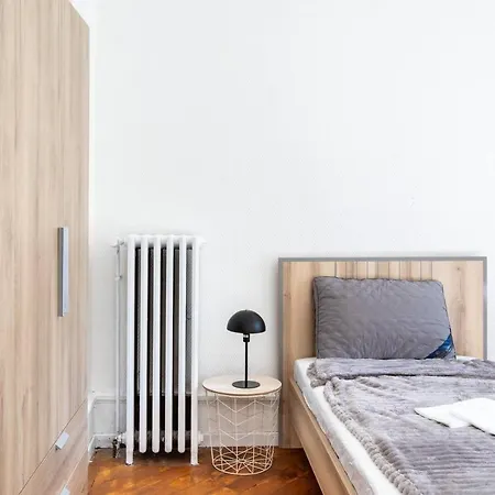 Spacieux , Maison De Maitre, Parking Gratuit, Centre * Мюлуз