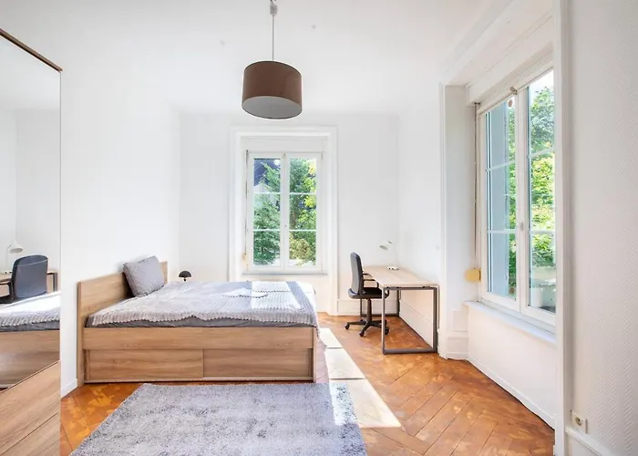 Grande Suite, Maison De Maitre, Parking Prive - Hyper Centre * 뮐루즈