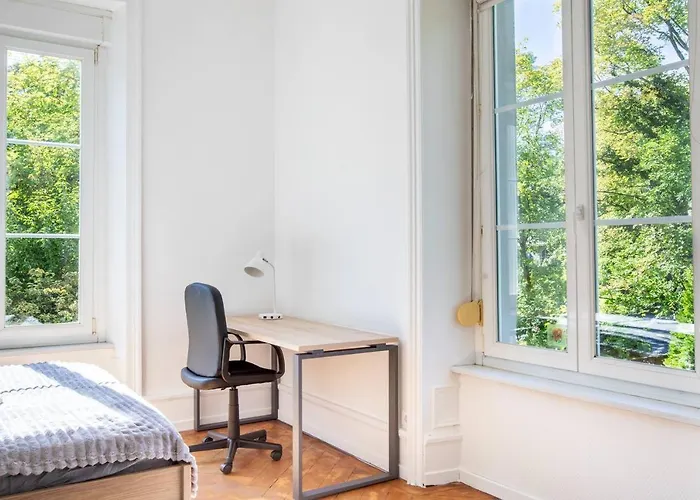 Grande Suite, Maison De Maitre, Parking Prive - Hyper Centre * 뮐루즈