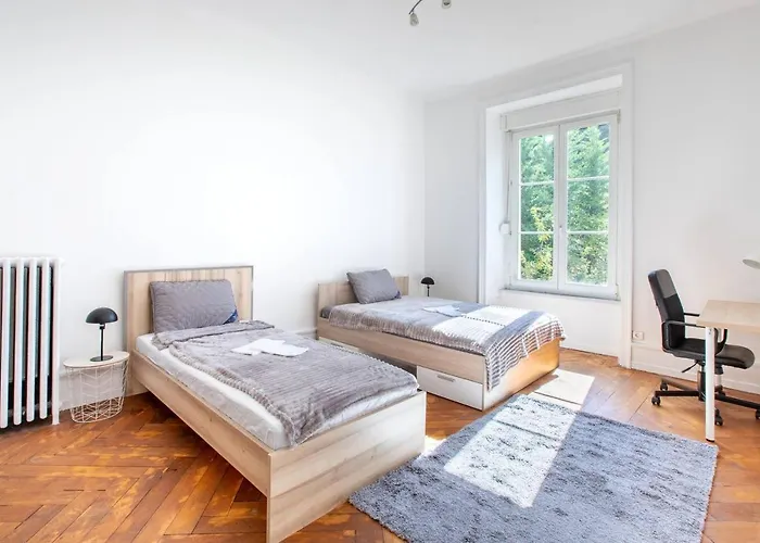 아파트 Grande Suite, Maison De Maitre, Parking Prive - Hyper Centre 뮐루즈